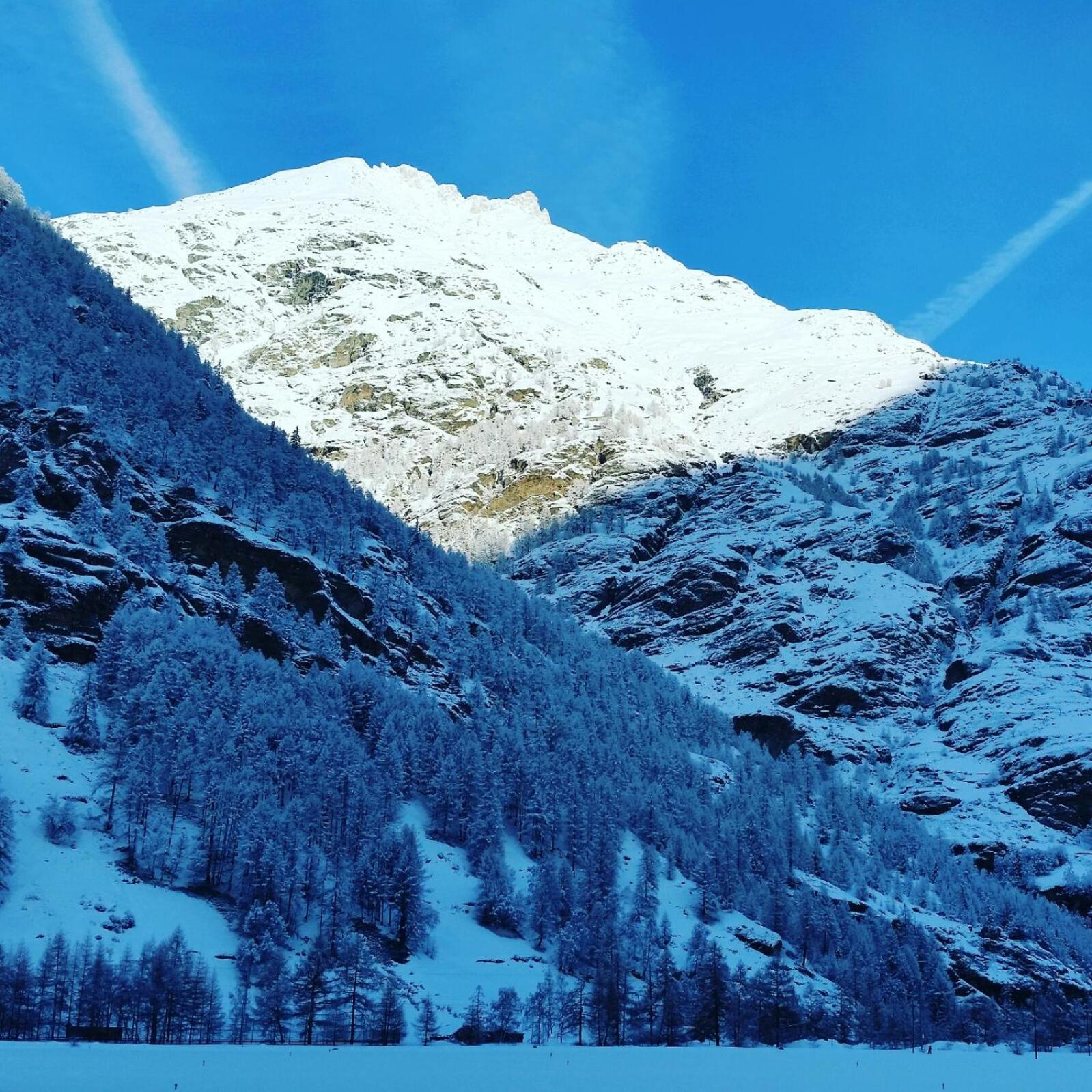 Monte Rosa Taesch, Mit Wellness Bereich Täsch